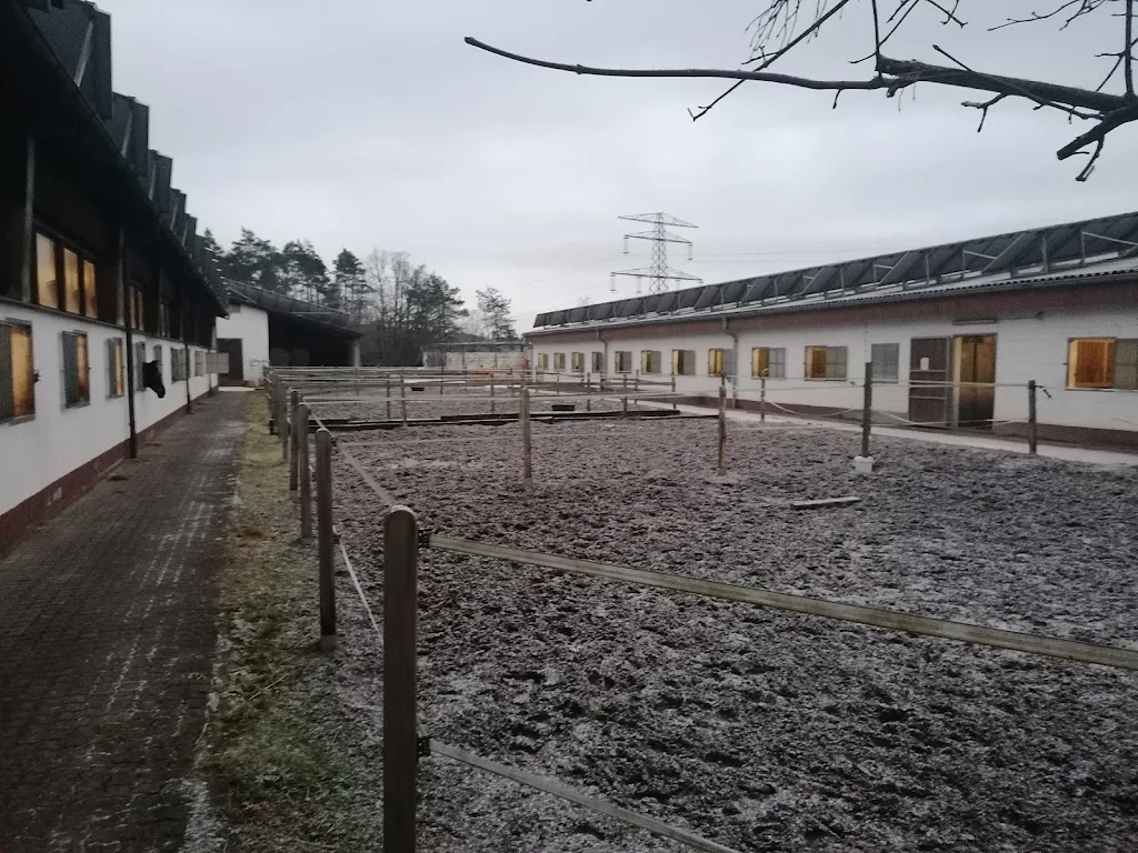 TSP Schnaittach - photo 2