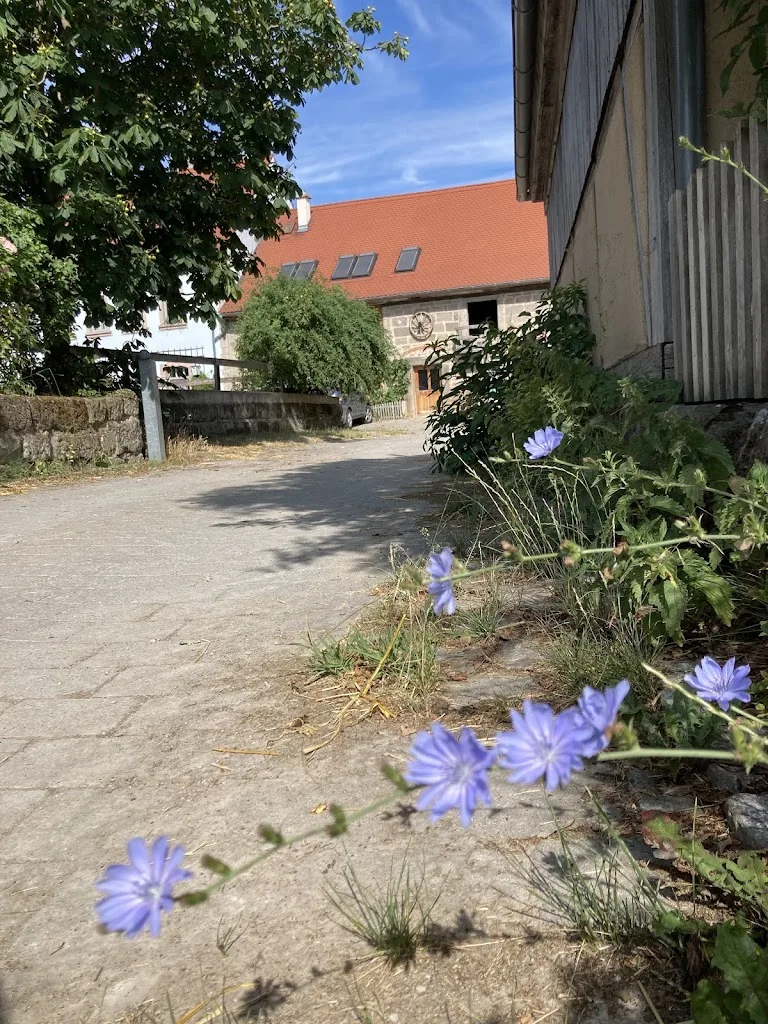 Connemaragestüt Thiergartenhof - photo 3