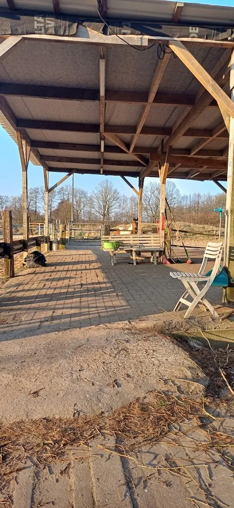 Reitbauernhof Schulze - Foto 2