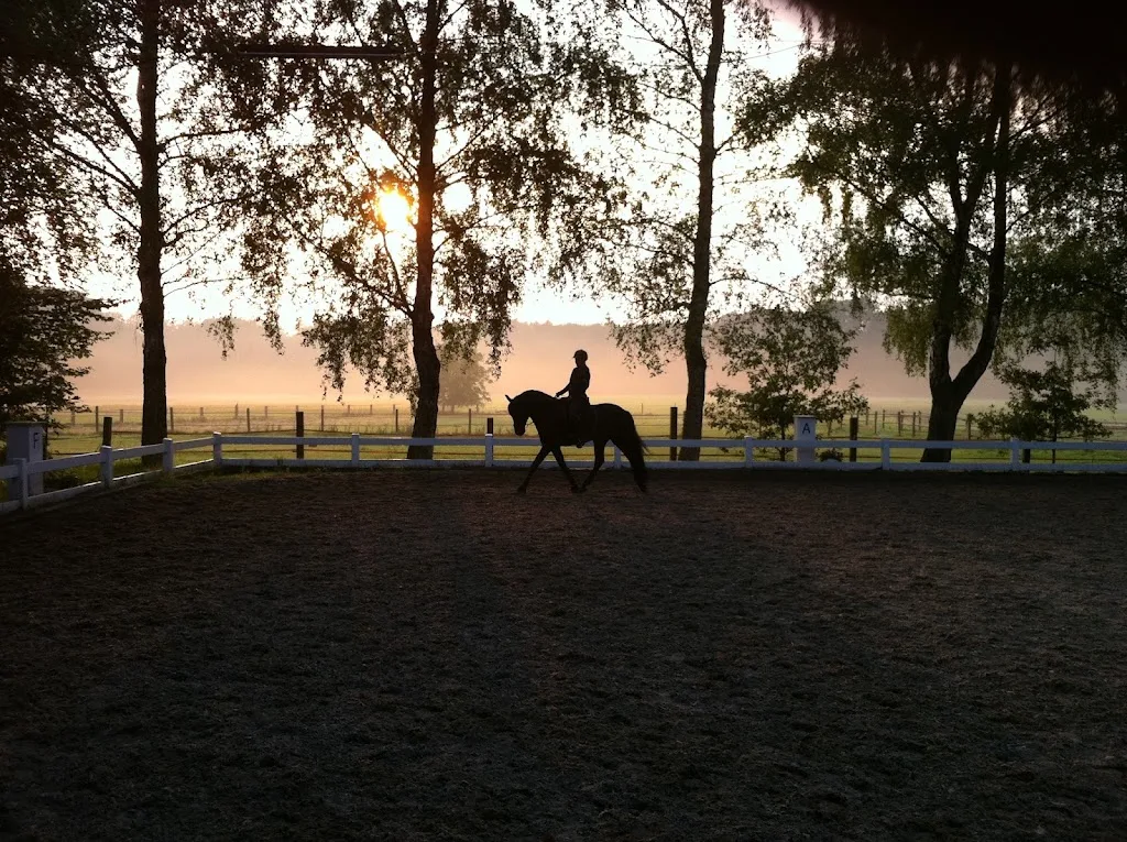 Reitanlage Gut Wolfsaap - Foto 2