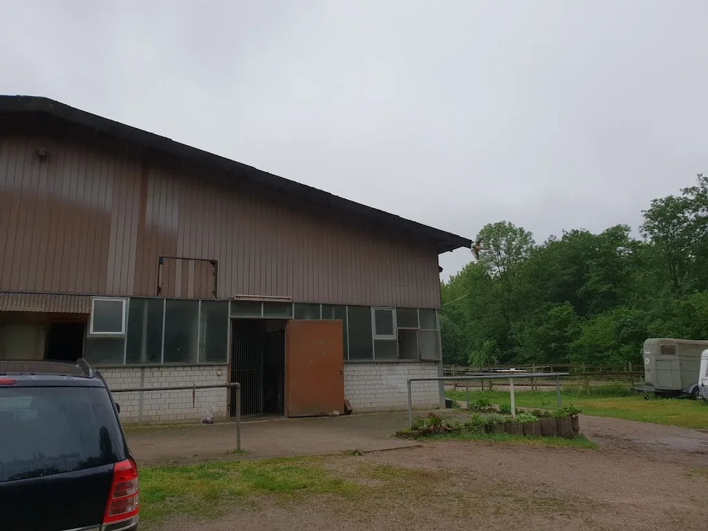 Reitverein Langenunger Hof Sinzheim e.V. - Foto 2