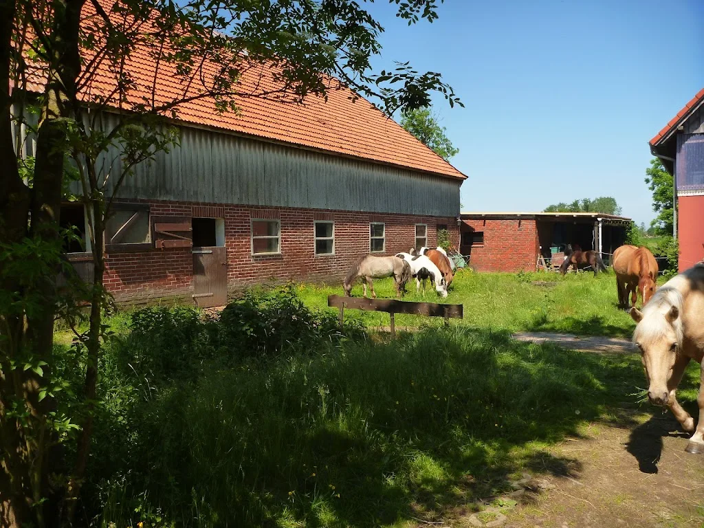 Pferdehotel Nordsee - Foto 2