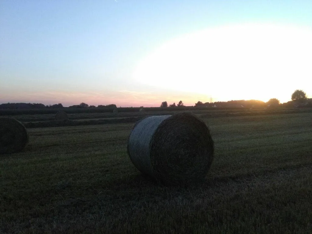 Reitanlage Ludbrock - photo 1