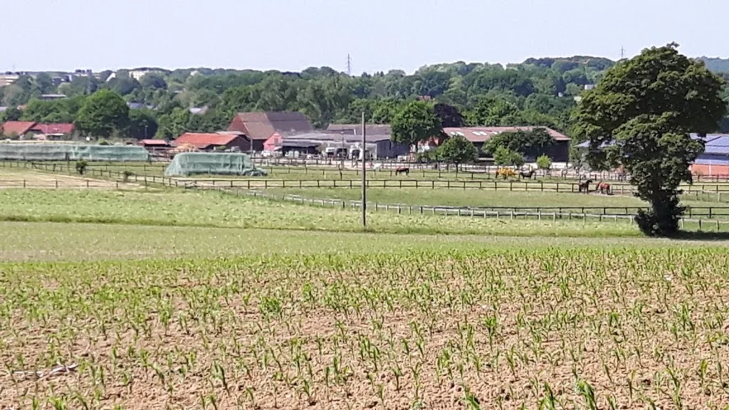 Reitanlage Ludbrock - photo 3