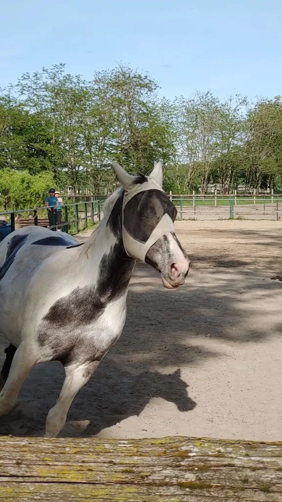 Camargue-Pferde-Hof - Foto 1