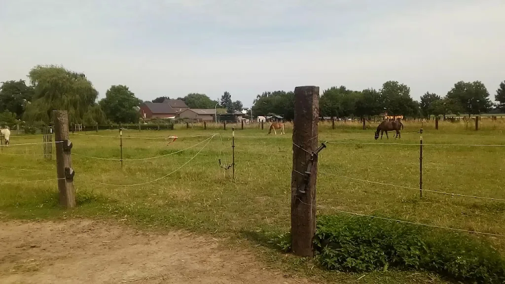 Offenstall, Paddock Trail Müller - Foto 1