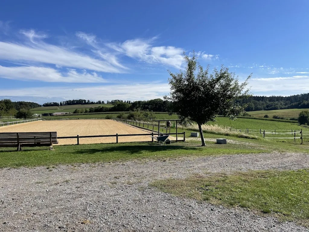 Gestüt Berwangerhof - Foto 2