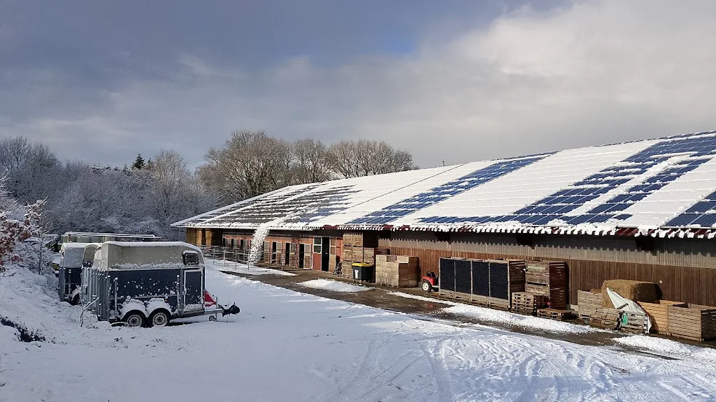 Pferdehof am Brockeswald - Foto 1