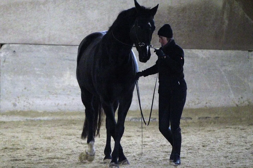 Erlebnis Reiten Regensburg - Foto 1