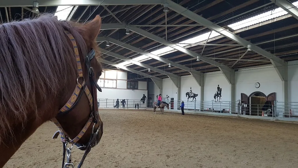 Reitanlage Zehren - Foto 1