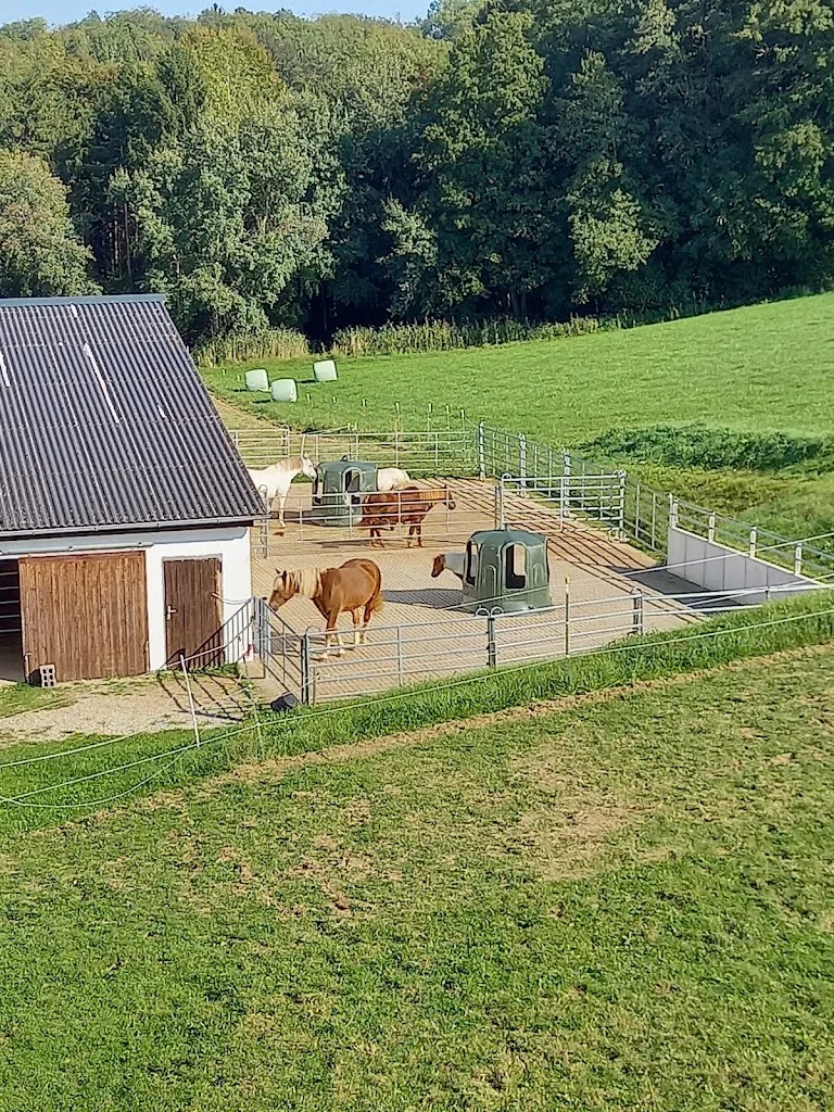Aktivstall Moosgrub - Foto 2