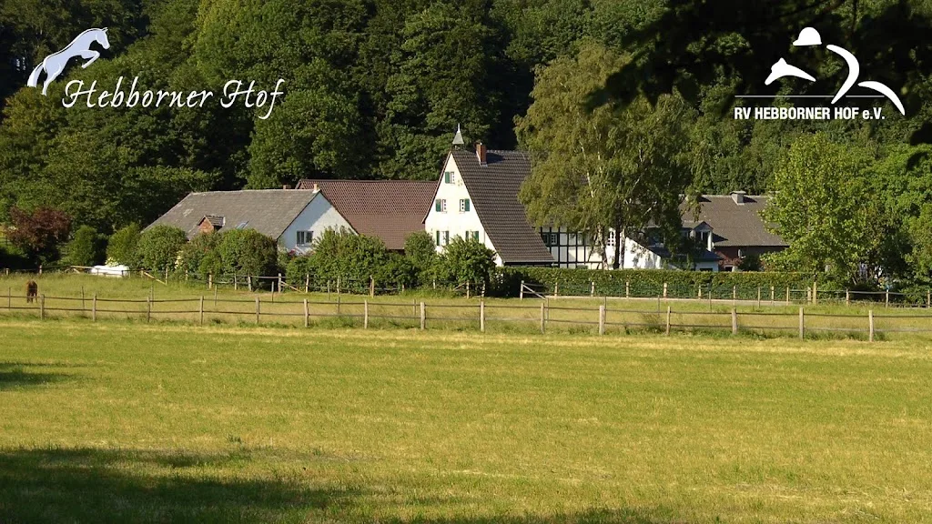 Markus Sahler Reit- und Pensionsbetrieb - Foto 2