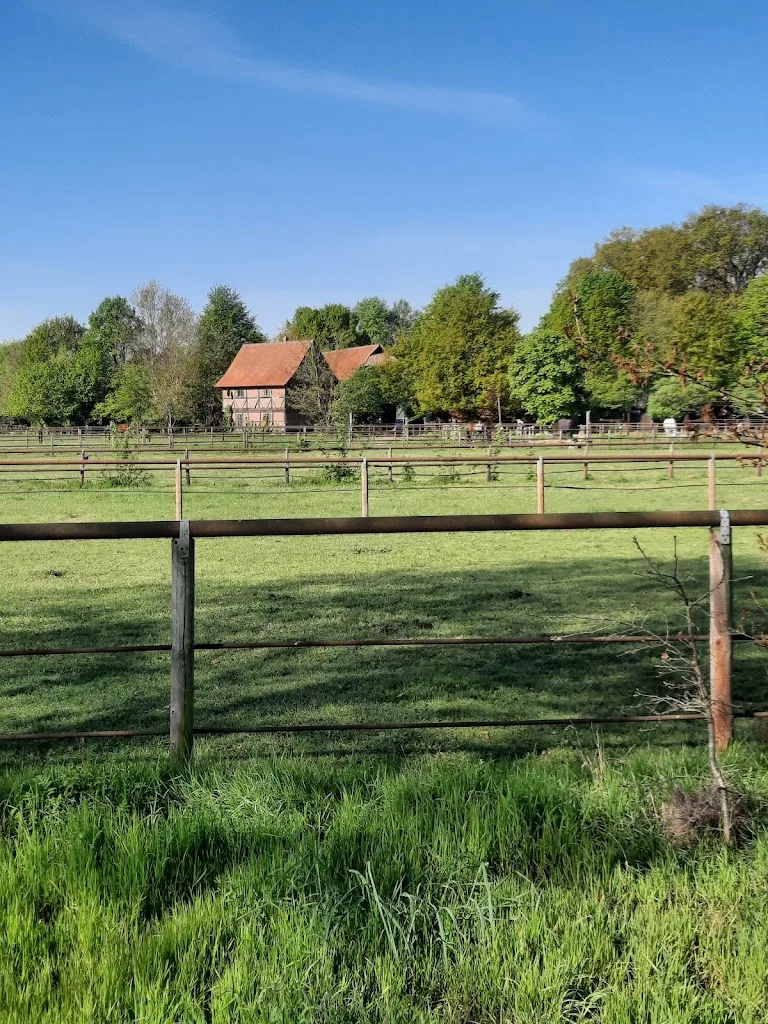 Hof Merkwitz - Pferdestall Groß Oesingen - photo 2
