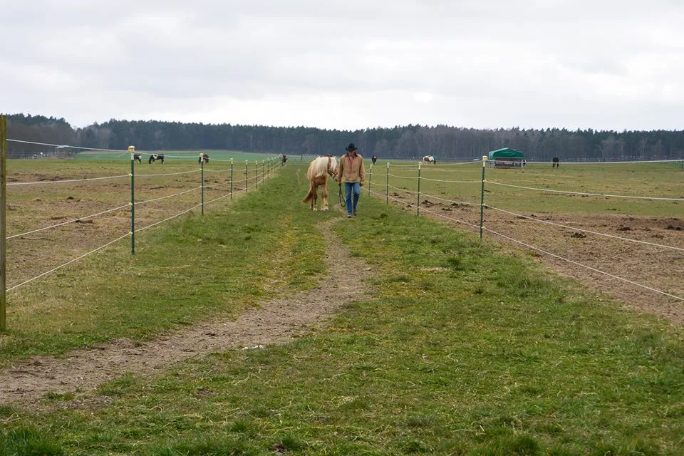 NTH-Ranch - Foto 2