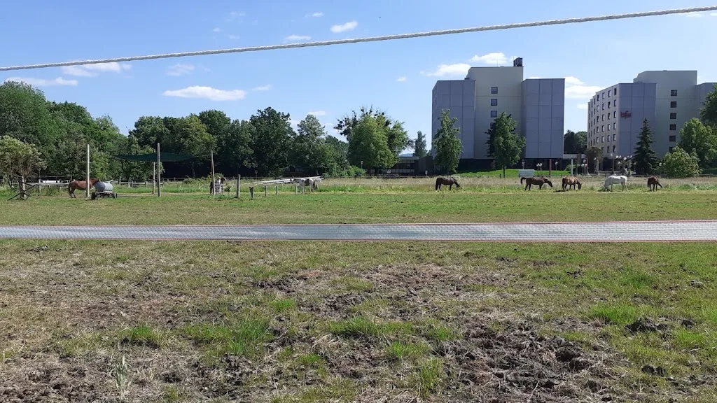 Reitschule Arkadia - Foto 1