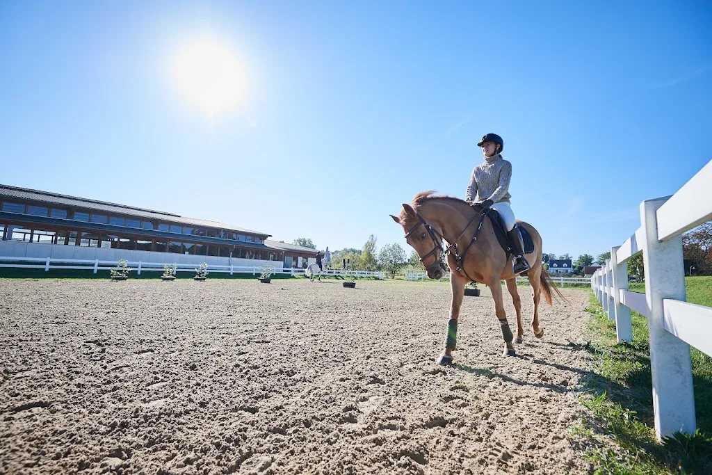 Reitanlage Fleesensee - Foto 1