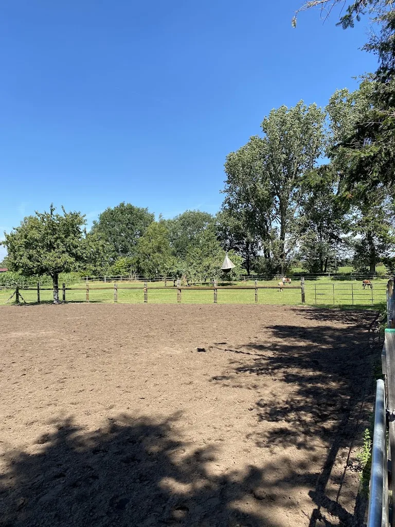 Vortkamp-Reitunterricht - Foto 3