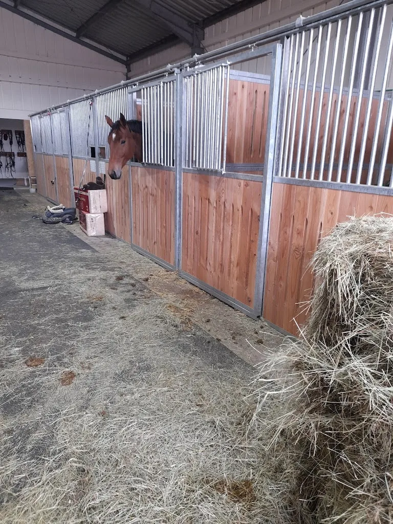 Reitstall Eduard Beuter KG - Foto 2