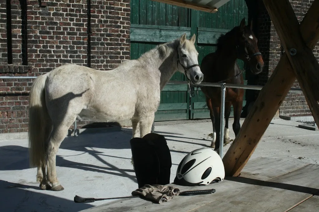 Velmerig - photo 3