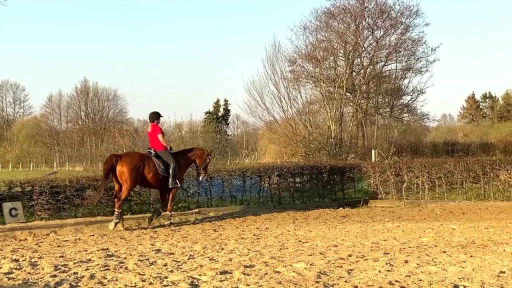 Jens Less - Foto 1