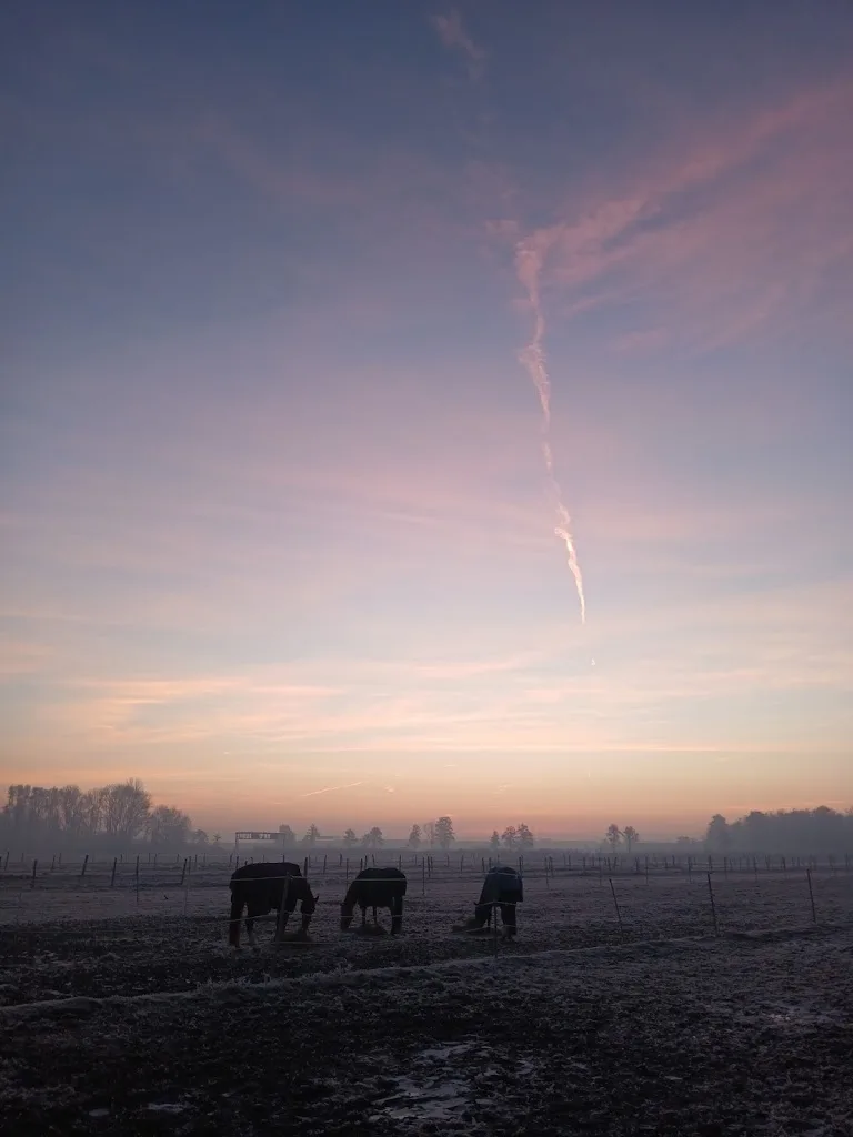 Stall Kunstwadl - Foto 2