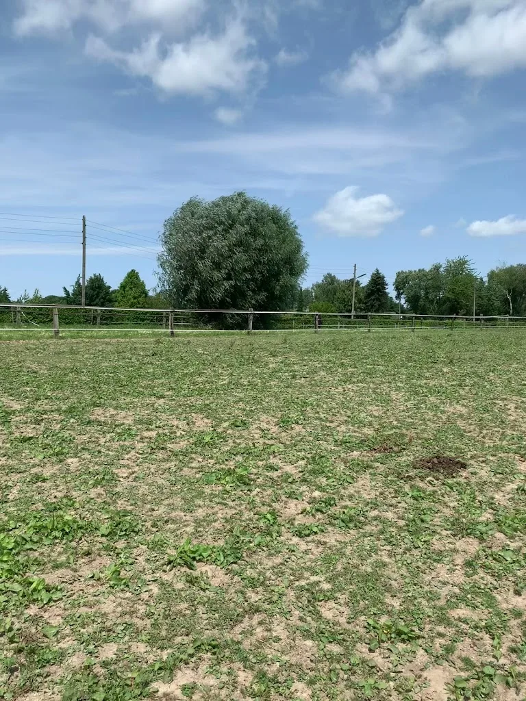 Reitschule Fee Rommerskirchen - Foto 1