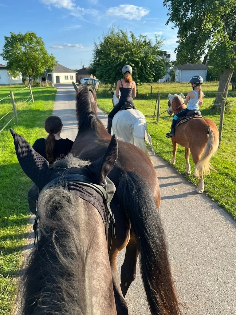 Die Reitschule für Kinder - Franziska Falk - photo 1