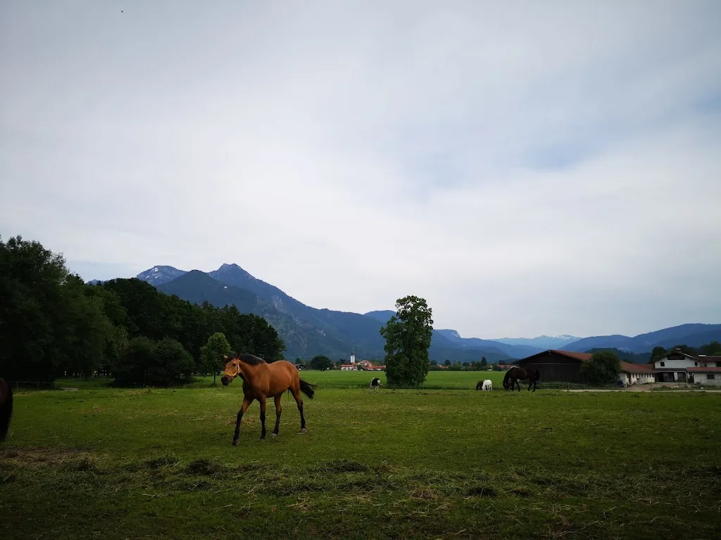 Reitanlage Gut Hindling - photo 2