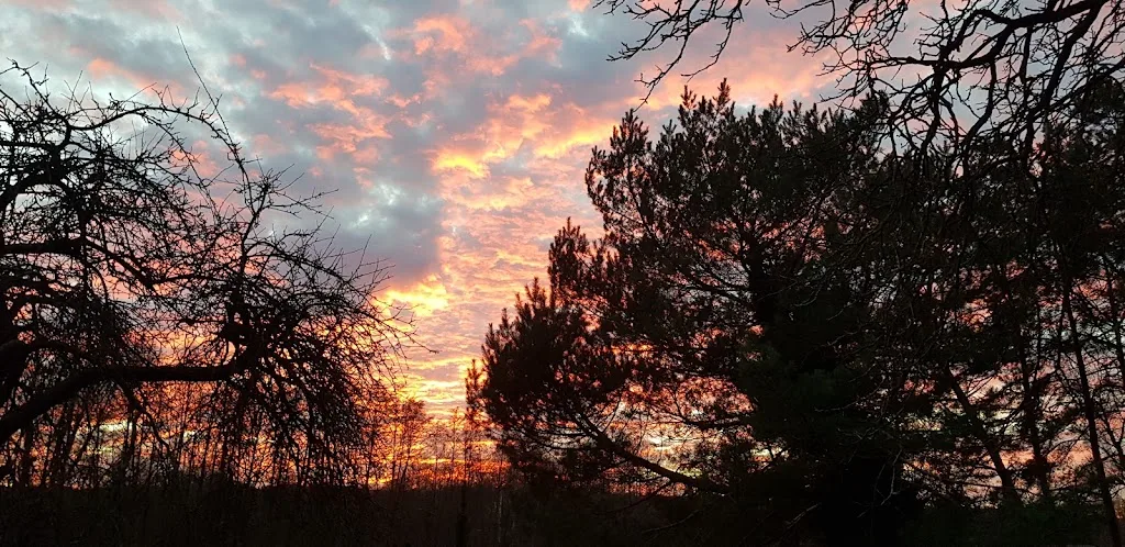 Wolkenlos - Foto 1