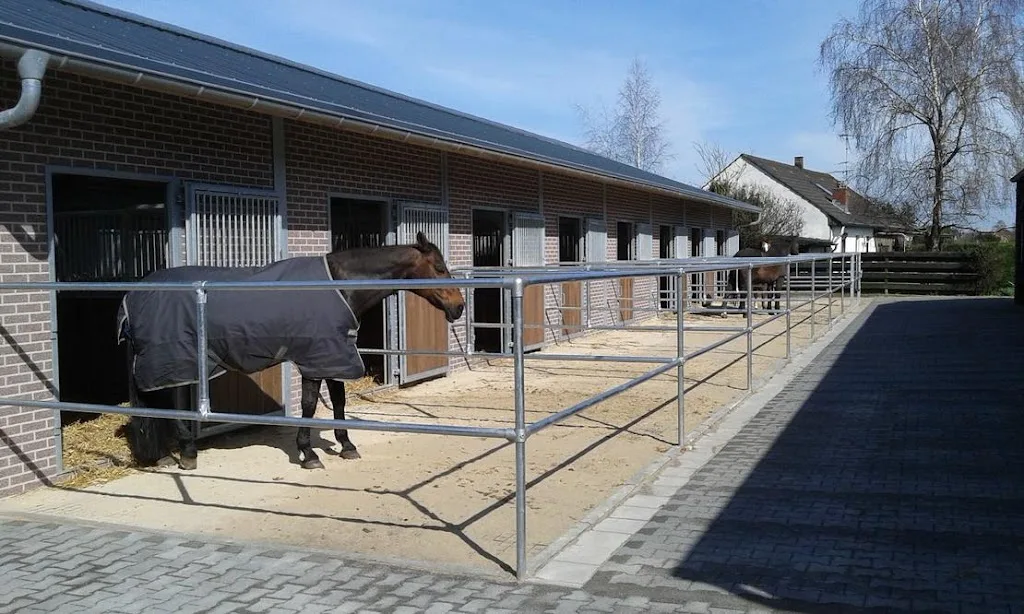 Reitstall Grenzwald - Foto 3