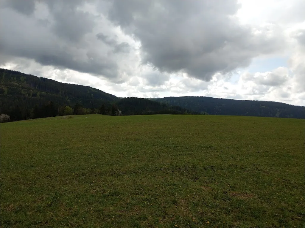 Westernpferde Meura - Foto 2