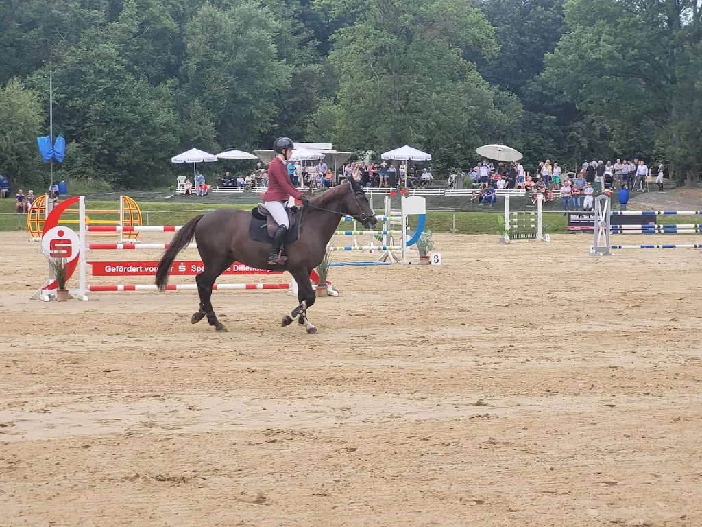 Pony- und Reiterhof Mai - Foto 2