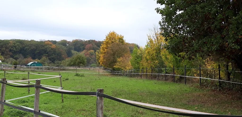 Hirtenhof, Elke Rücker - Foto 1