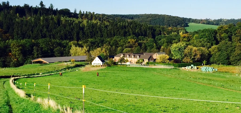 Pferdehof Bömberg - photo 3