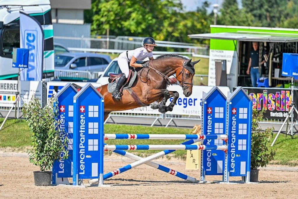 Ausbildungsstall Bera - photo 1