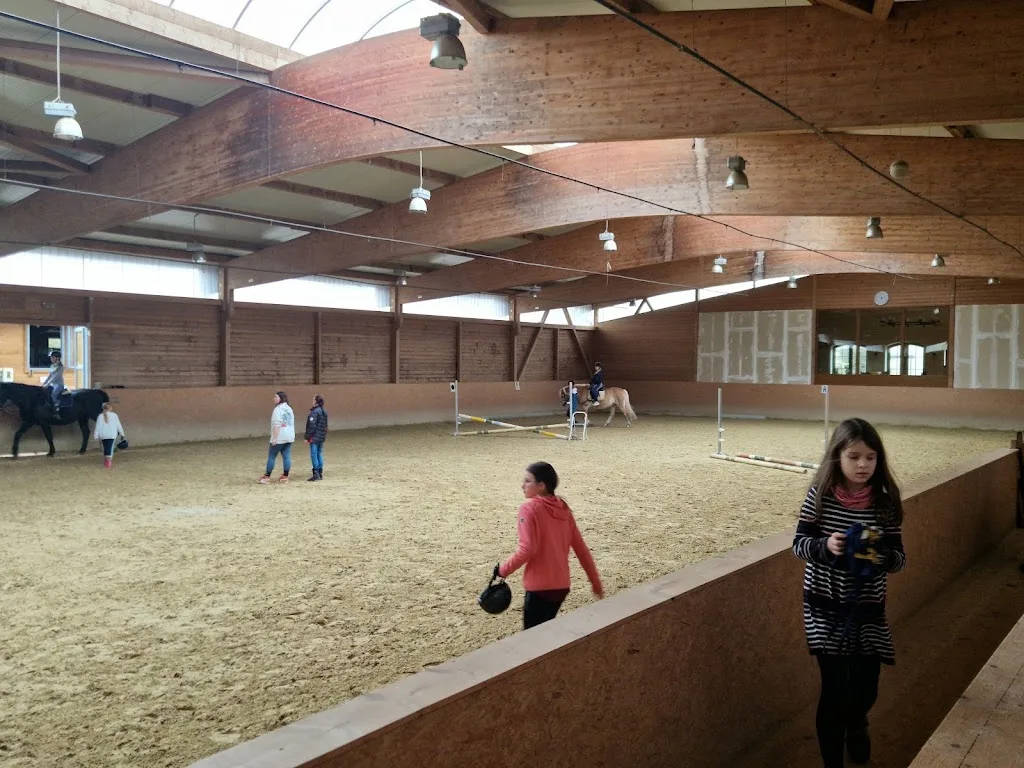 Pferdezuchthof Rodatal - photo 2