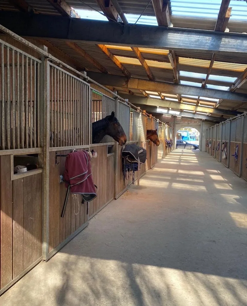 Reitanlage Lukosek - Foto 3