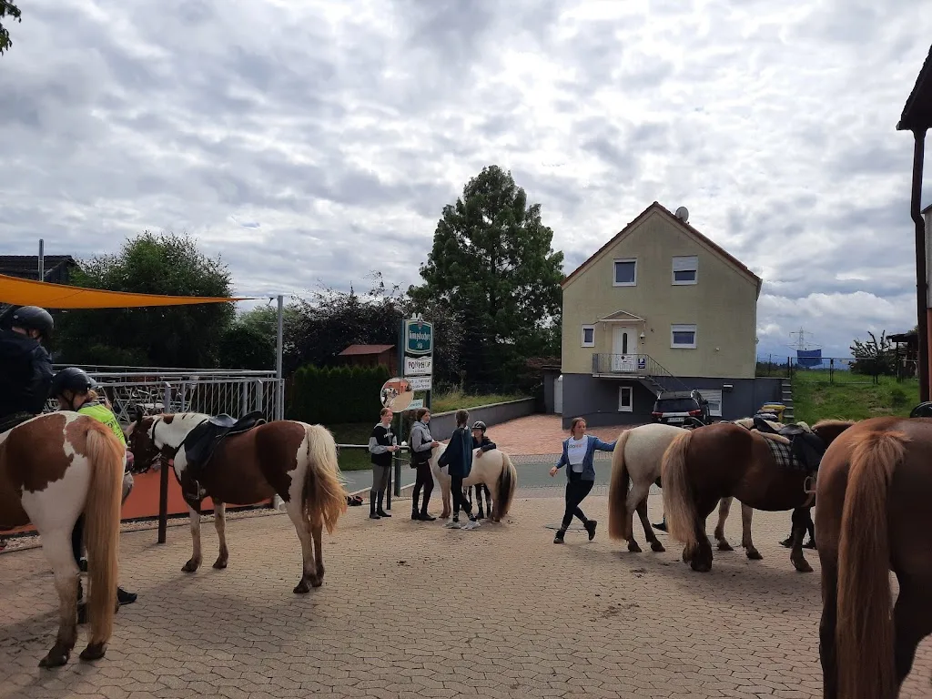 Reit - und Fahrstall Ponyhof Ludwig - Foto 2