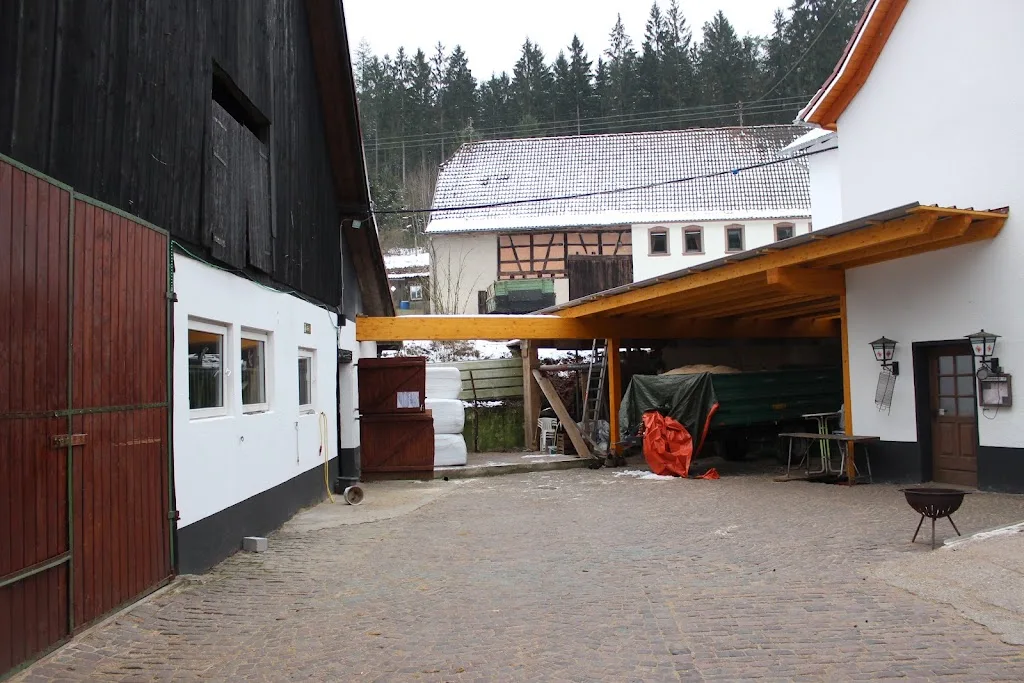 Quickland Stables - Foto 1