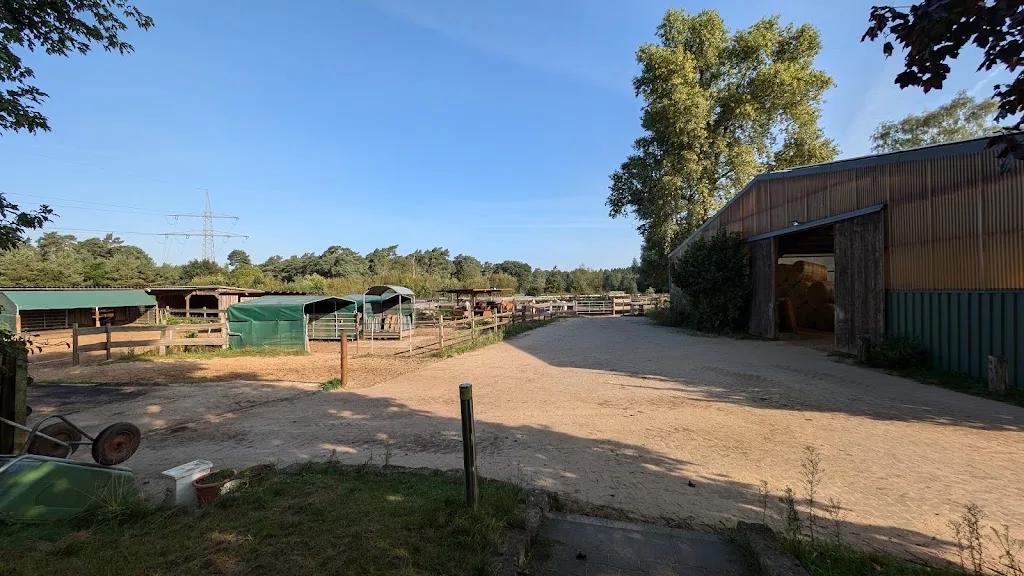Five Oaks Ranch - photo 3