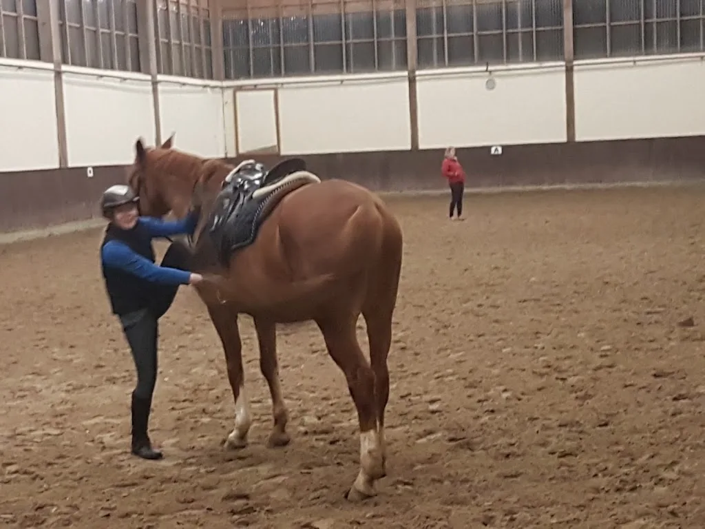 Reitsportzentrum Sonnenhof - photo 1