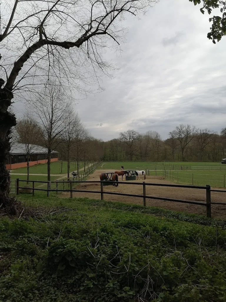 Para- und Reitsportzentrum Gut Silk - Reitstall und Pferdepension - Foto 1