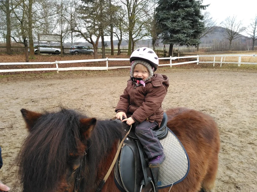 Pferdefreunde Brauerhof - photo 2