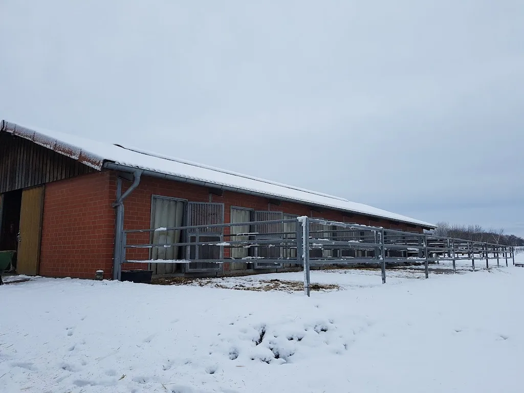Pferdehof Rotenhagen - Foto 1