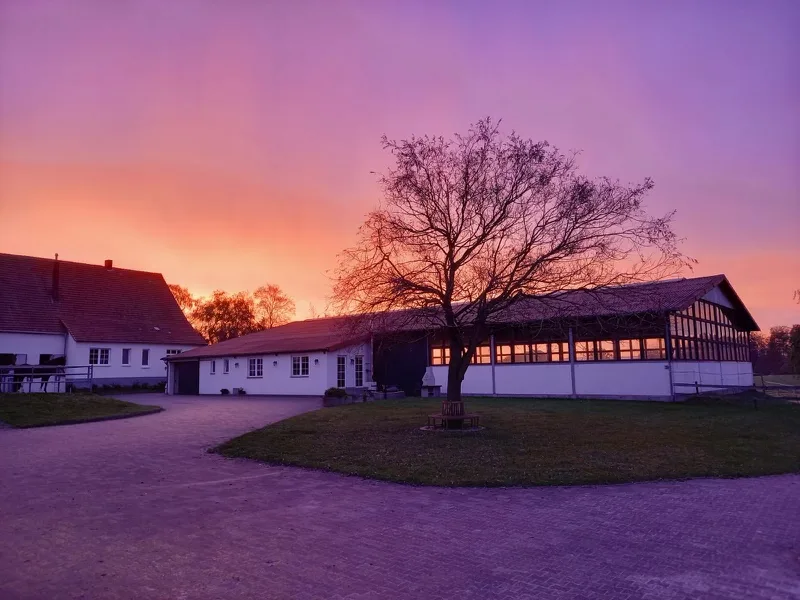Pferdehof Rotenhagen - Foto 2