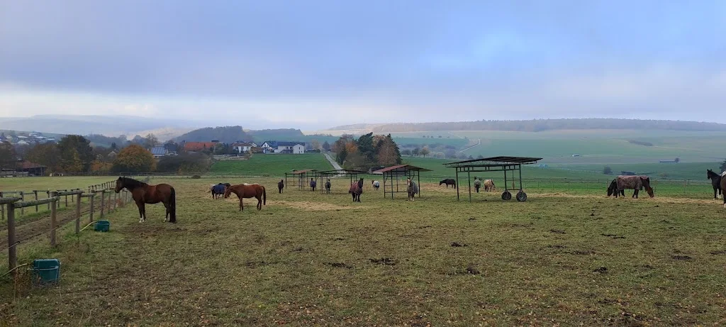 Reitzentrum Hohenstein - photo 1
