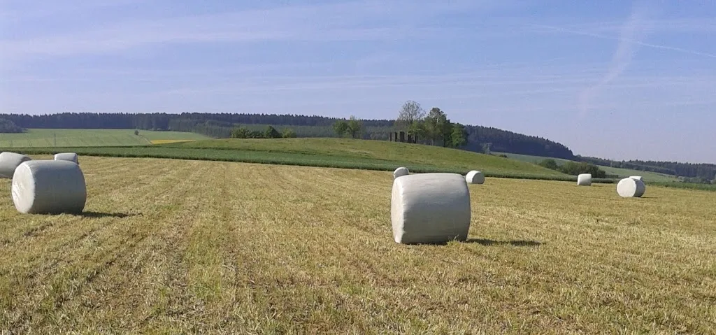 Ferien- und Reiterhof Sittel - photo 2