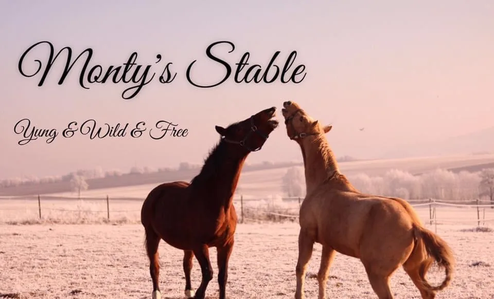 Monty's Stable - Foto 1