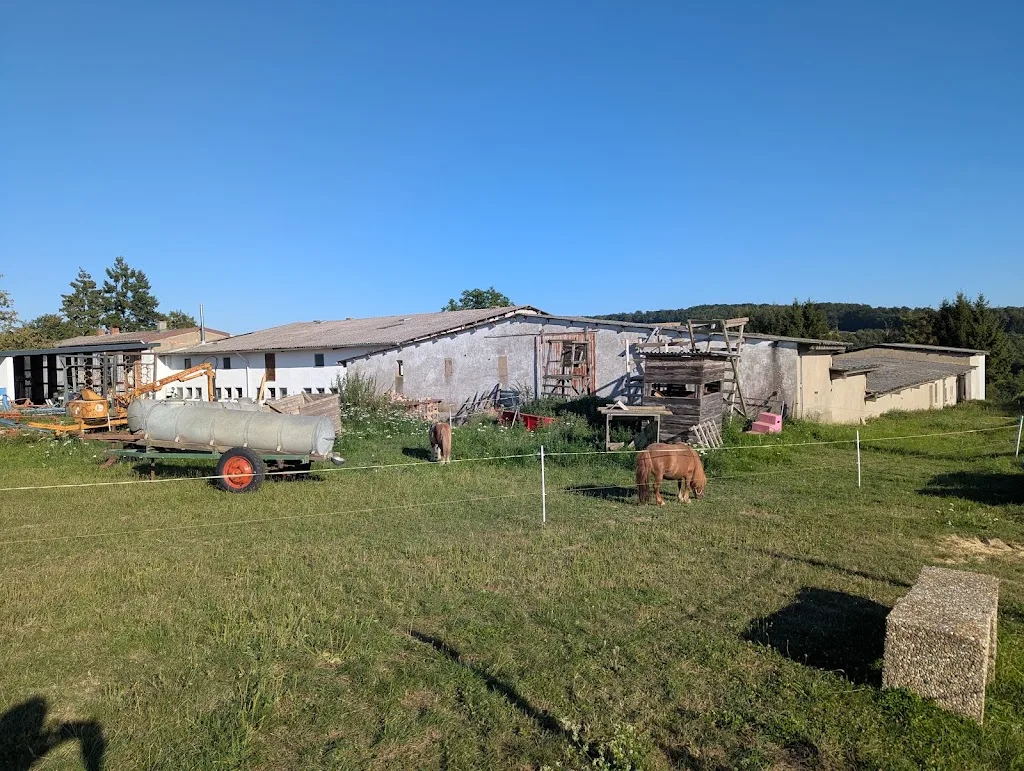 Reitanlage Egenolf - photo 1