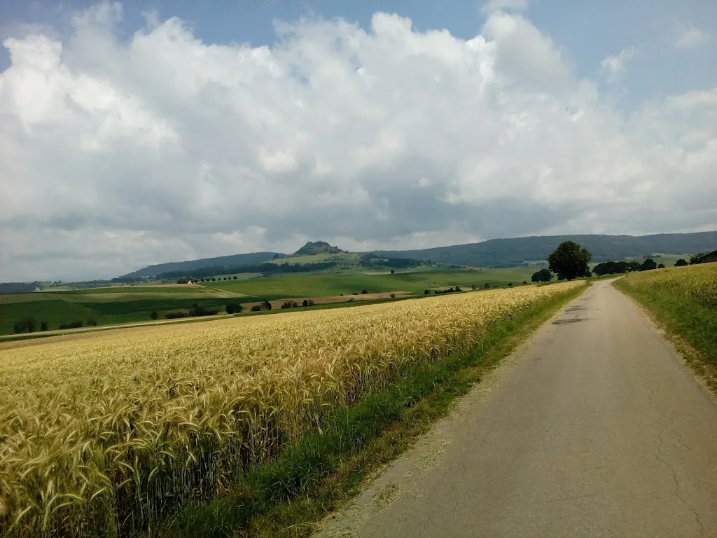 Wide Meadow Stable - Foto 2